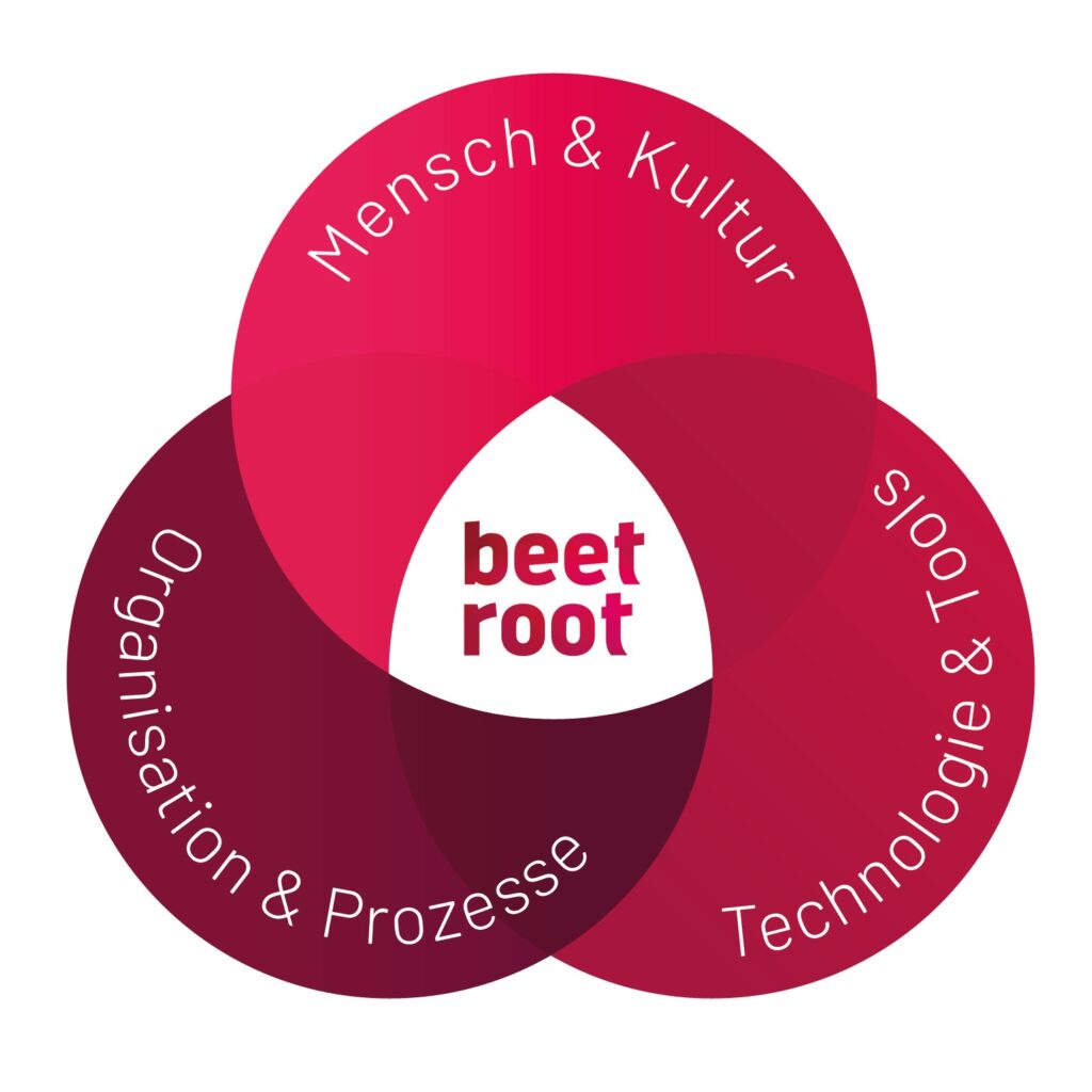 Schnittmenge Mensch & Kultur, Technologie & Tools, Organisation & Prozesse